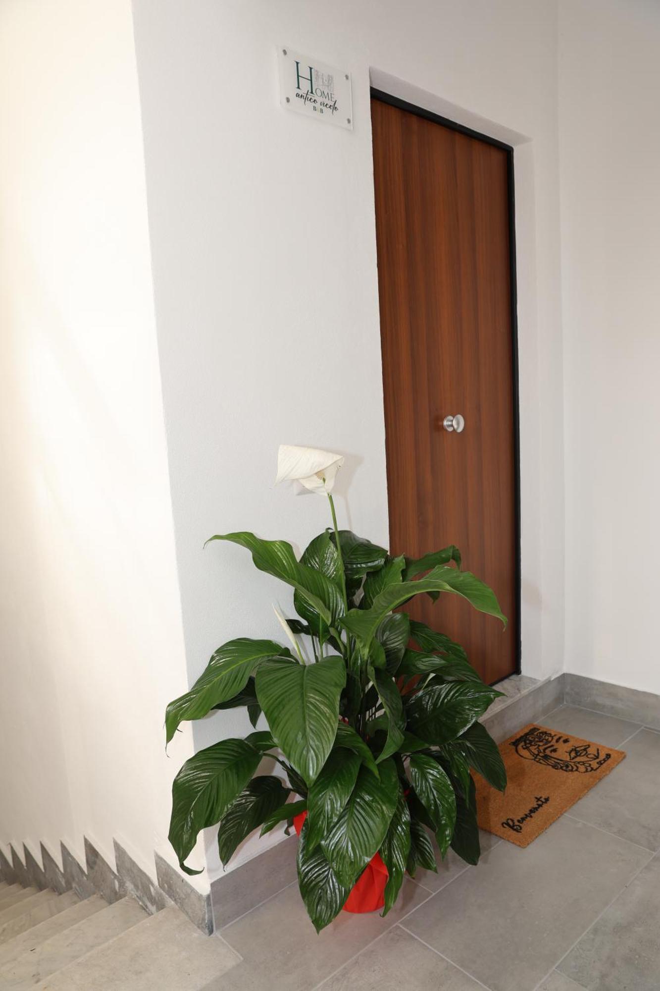 Bed & Breakfast Antico Vicolo *